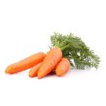 Carrot